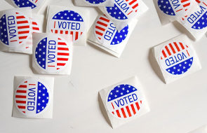 Idaho Voting Elections sticker